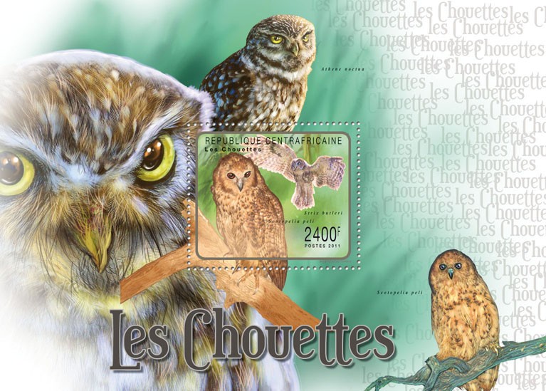 Owls. - Issue of Central African republic postage stamps