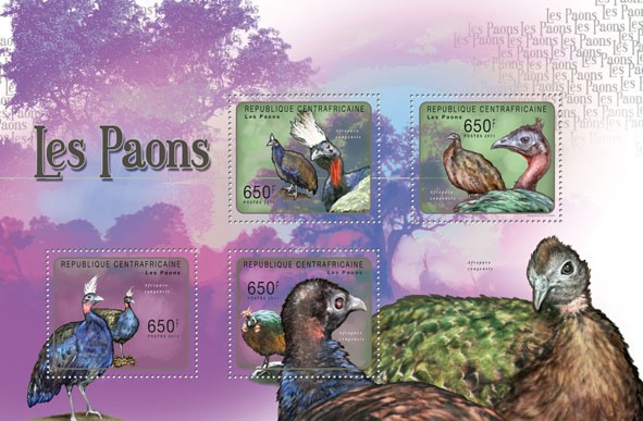 Peacocks, (Aforopavo congensis). - Issue of Central African republic postage stamps