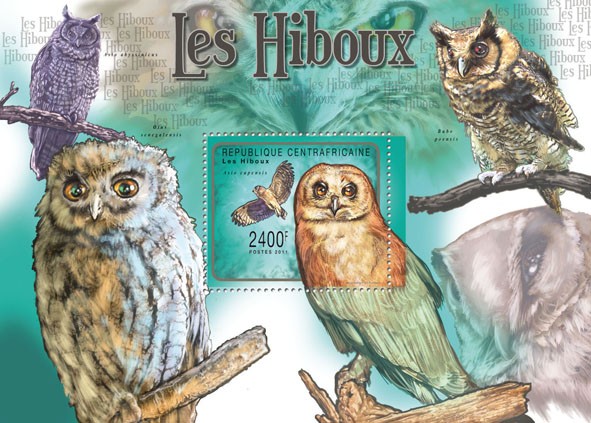 Owls, (Asio capensis). - Issue of Central African republic postage stamps