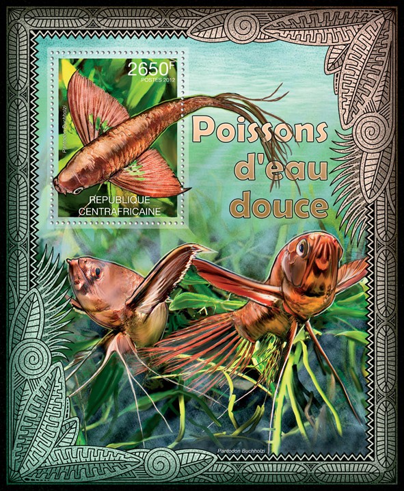 Fresheater Fishes, (Pantodon Buchholzi). - Issue of Central African republic postage stamps