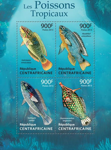 Tropical Fishes - Issue of Central African republic postage stamps
