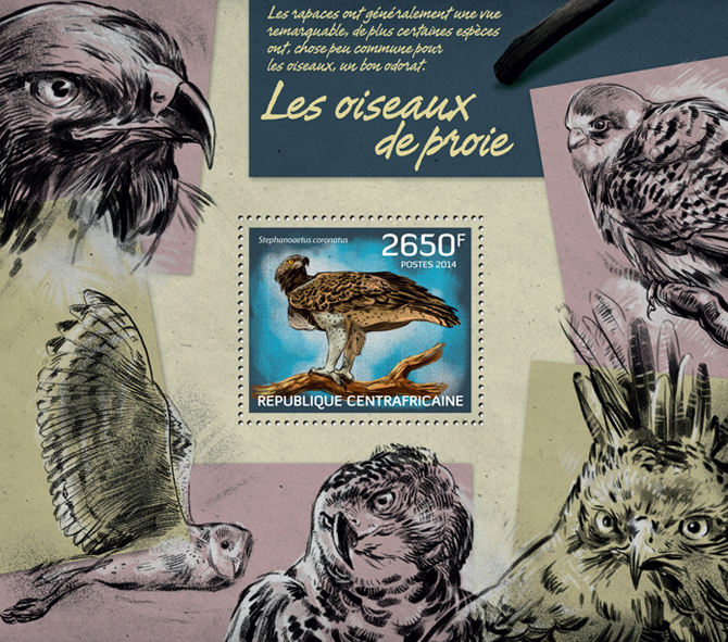Birds of prey - Issue of Central African republic postage stamps