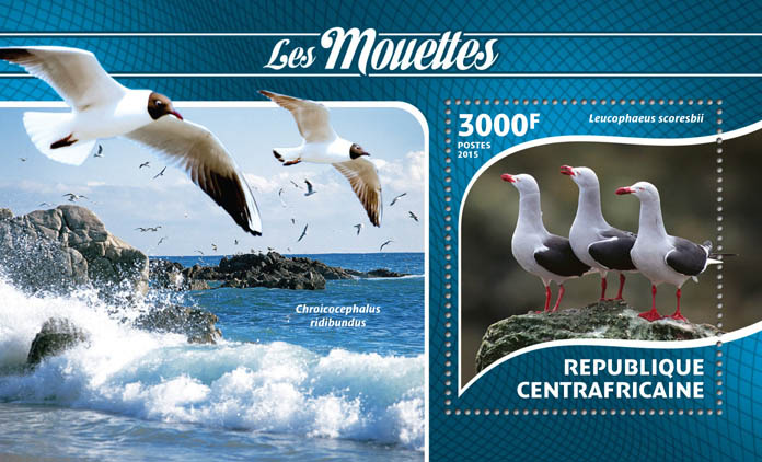 Terns - Issue of Central African republic postage stamps