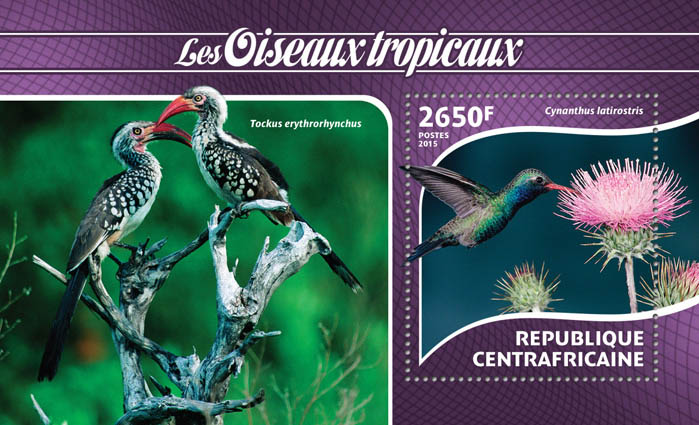 Birds - Issue of Central African republic postage stamps
