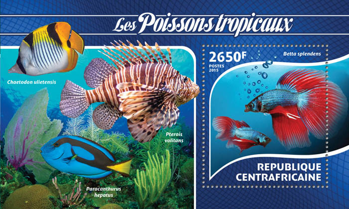 Tropical fishes - Issue of Central African republic postage stamps