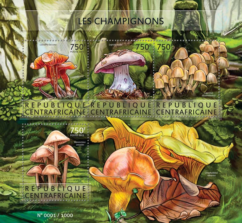 Mushrooms - Issue of Central African republic postage stamps