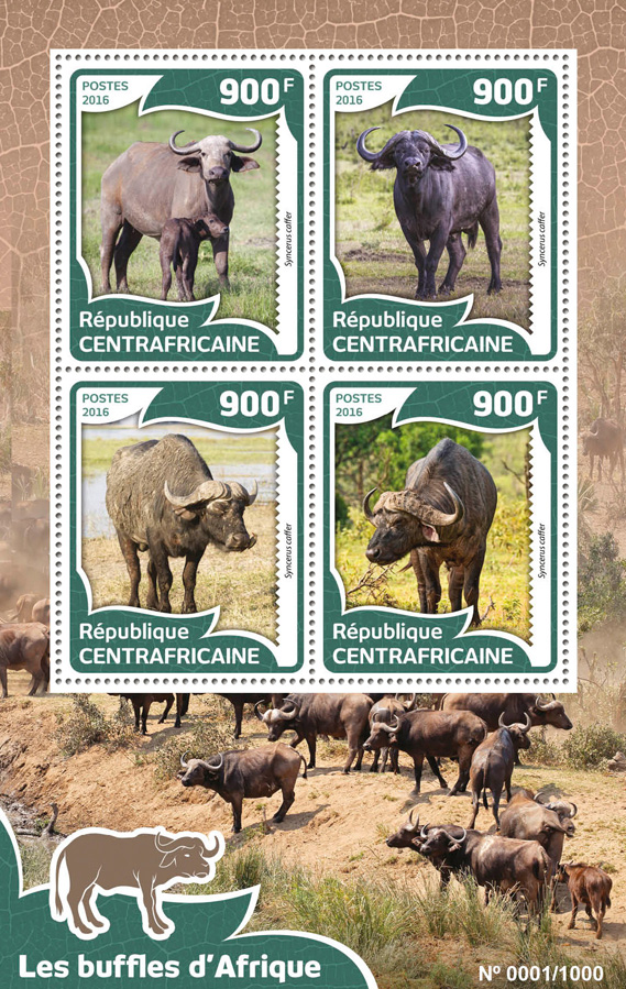 African buffalos - Issue of Central African republic postage stamps