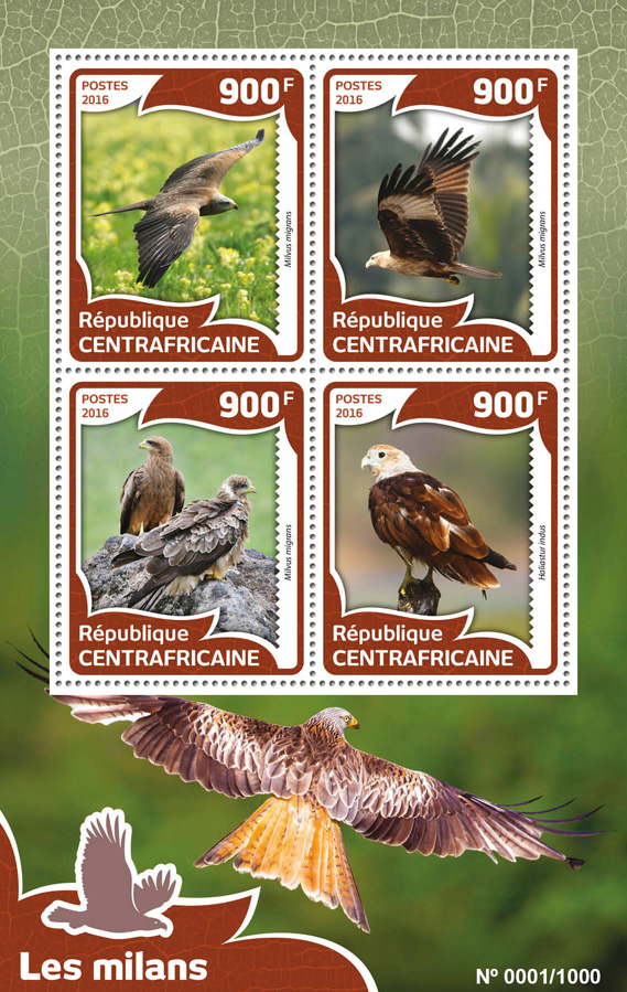 Kites birds - Issue of Central African republic postage stamps