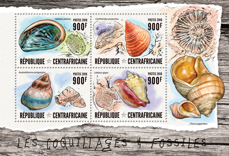 Seashells and fossils - Issue of Central African republic postage stamps