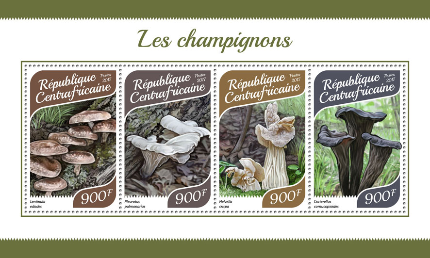 Mushrooms - Issue of Central African republic postage stamps