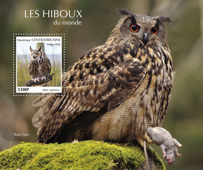 Owls - Issue of Central African republic postage stamps