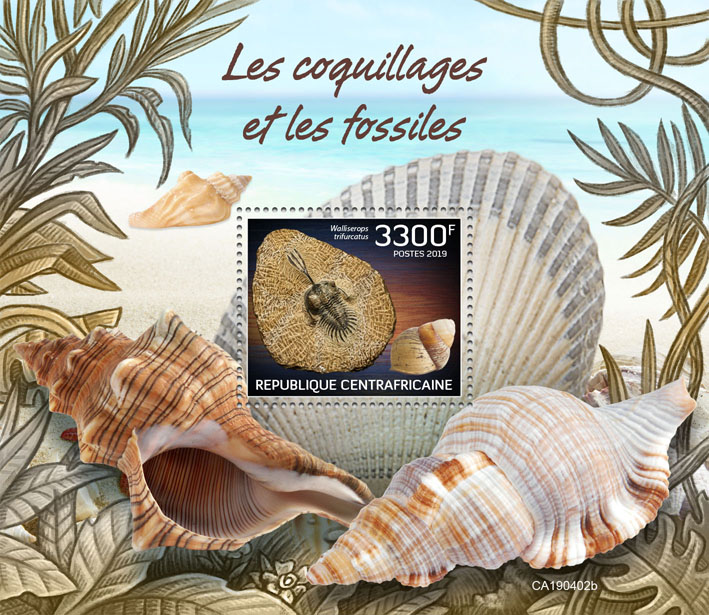 Shells and fossils - Issue of Central African republic postage stamps
