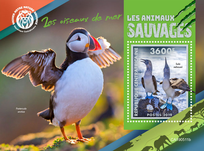 Sea birds - Issue of Central African republic postage stamps