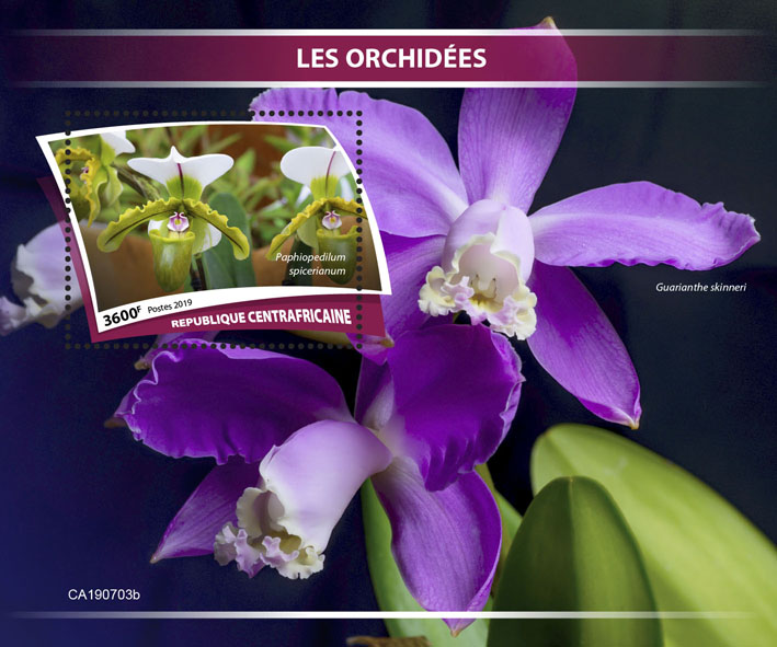 Orchids - Issue of Central African republic postage stamps