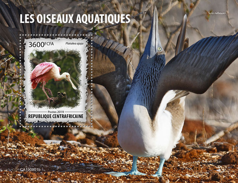 Water birds - Issue of Central African republic postage stamps