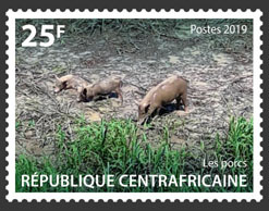 Pigs - Issue of Central African republic postage stamps